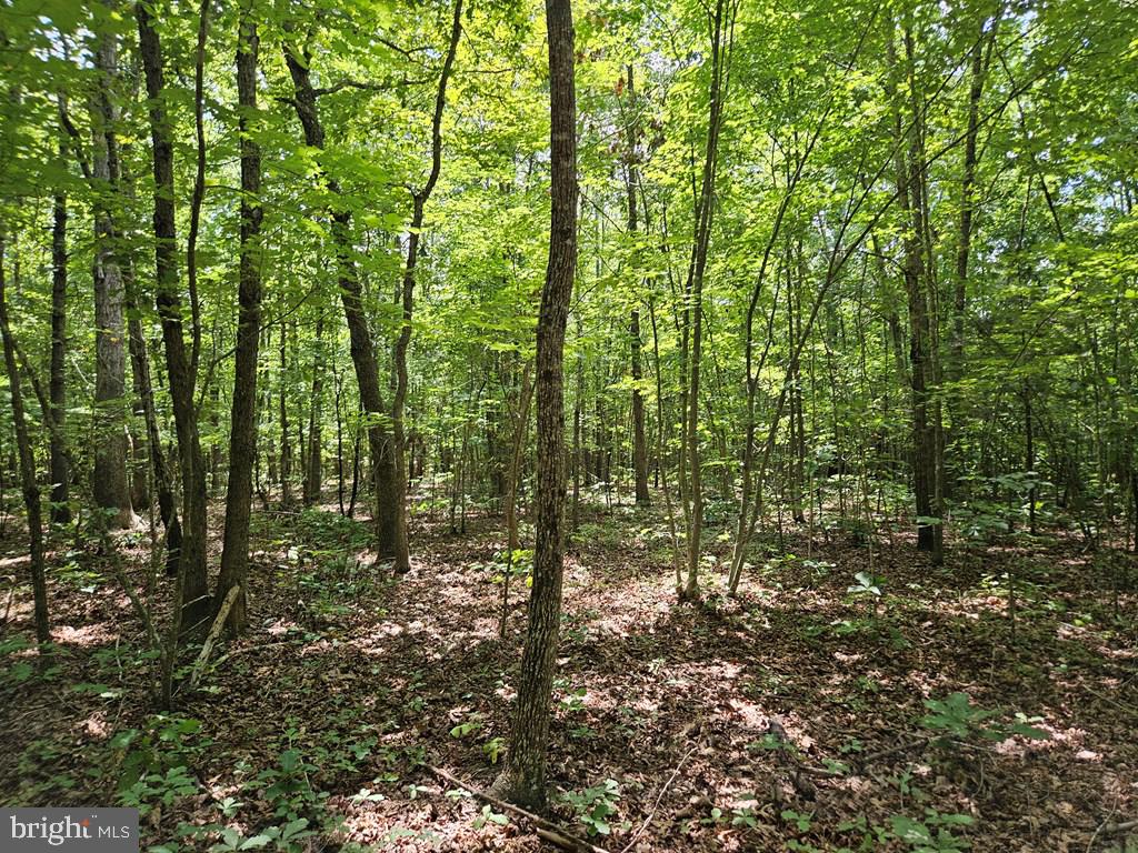 WEST JAMES ANDERSON HWY, GLADSTONE, Virginia 24553, ,Farm,For sale,WEST JAMES ANDERSON HWY,VABH2000220 MLS # VABH2000220