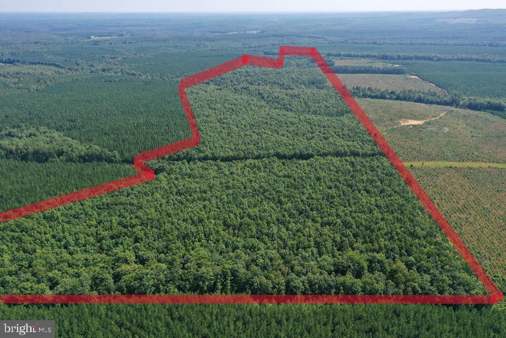 WEST JAMES ANDERSON HWY, GLADSTONE, Virginia 24553, ,Farm,For sale,WEST JAMES ANDERSON HWY,VABH2000220 MLS # VABH2000220