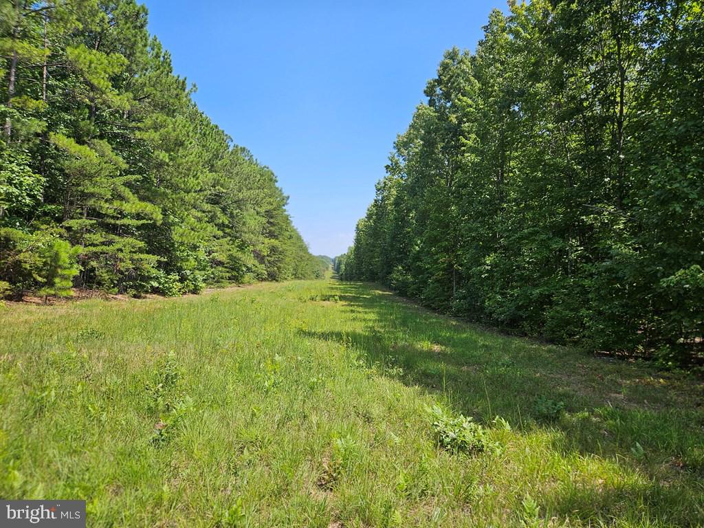 WEST JAMES ANDERSON HWY, GLADSTONE, Virginia 24553, ,Farm,For sale,WEST JAMES ANDERSON HWY,VABH2000220 MLS # VABH2000220
