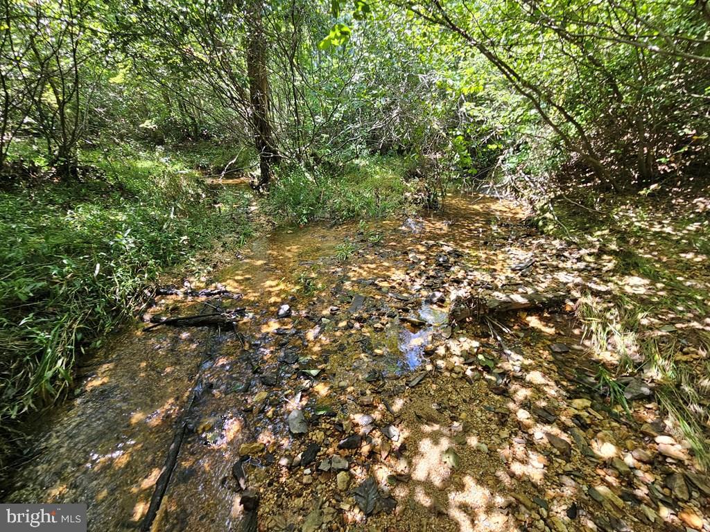 WEST JAMES ANDERSON HWY, GLADSTONE, Virginia 24553, ,Farm,For sale,WEST JAMES ANDERSON HWY,VABH2000220 MLS # VABH2000220