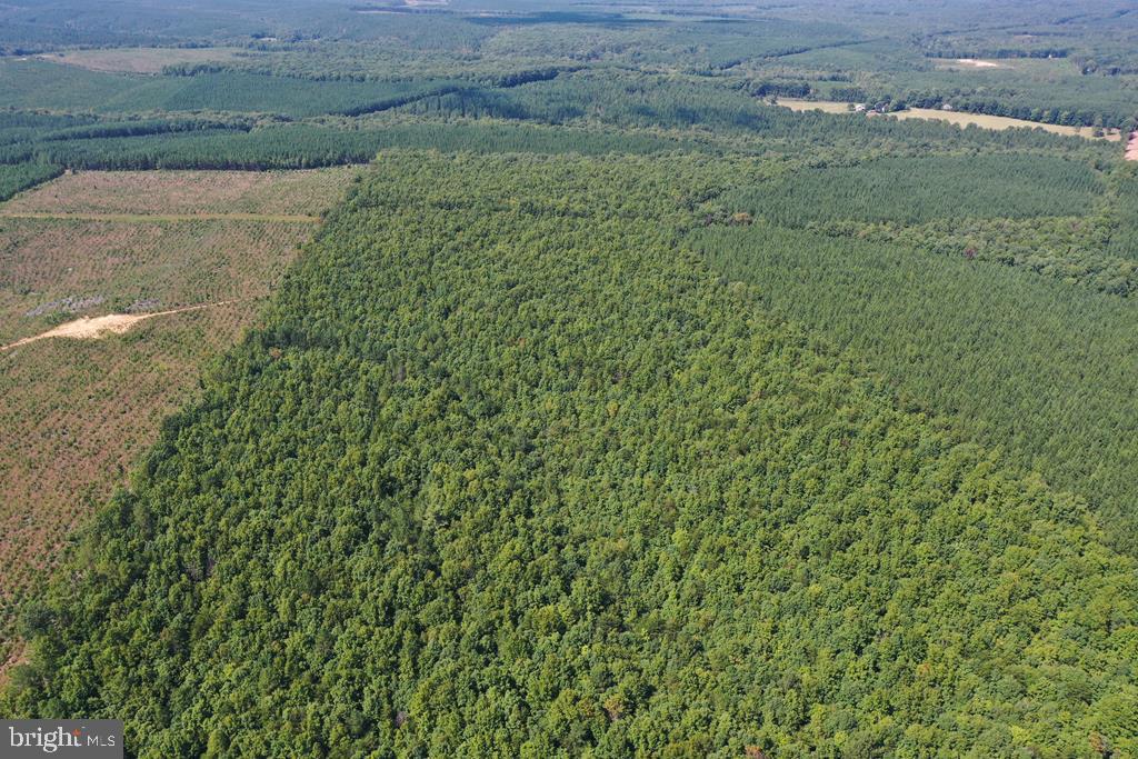 WEST JAMES ANDERSON HWY, GLADSTONE, Virginia 24553, ,Farm,For sale,WEST JAMES ANDERSON HWY,VABH2000220 MLS # VABH2000220