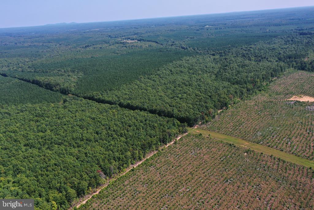WEST JAMES ANDERSON HWY, GLADSTONE, Virginia 24553, ,Farm,For sale,WEST JAMES ANDERSON HWY,VABH2000220 MLS # VABH2000220