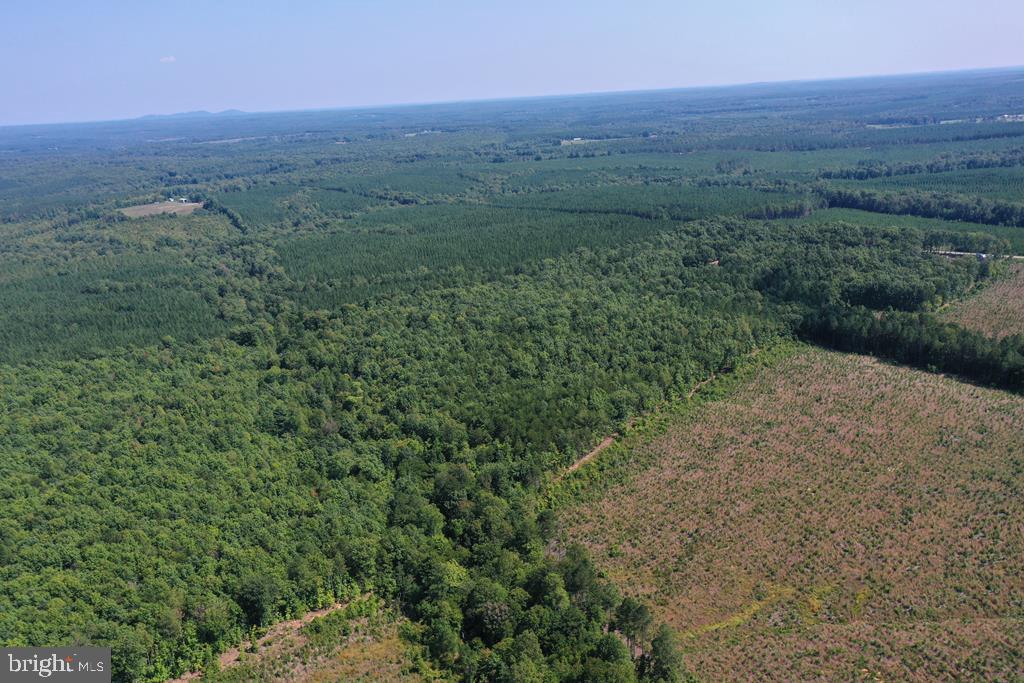 WEST JAMES ANDERSON HWY, GLADSTONE, Virginia 24553, ,Farm,For sale,WEST JAMES ANDERSON HWY,VABH2000220 MLS # VABH2000220
