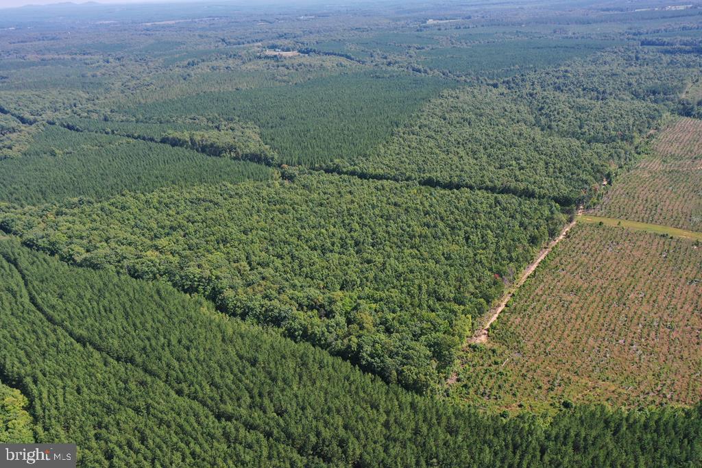 WEST JAMES ANDERSON HWY, GLADSTONE, Virginia 24553, ,Farm,For sale,WEST JAMES ANDERSON HWY,VABH2000220 MLS # VABH2000220