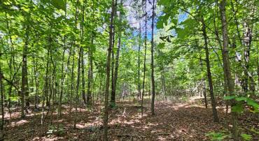 WEST JAMES ANDERSON HWY, GLADSTONE, Virginia 24553, ,Farm,For sale,WEST JAMES ANDERSON HWY,VABH2000220 MLS # VABH2000220