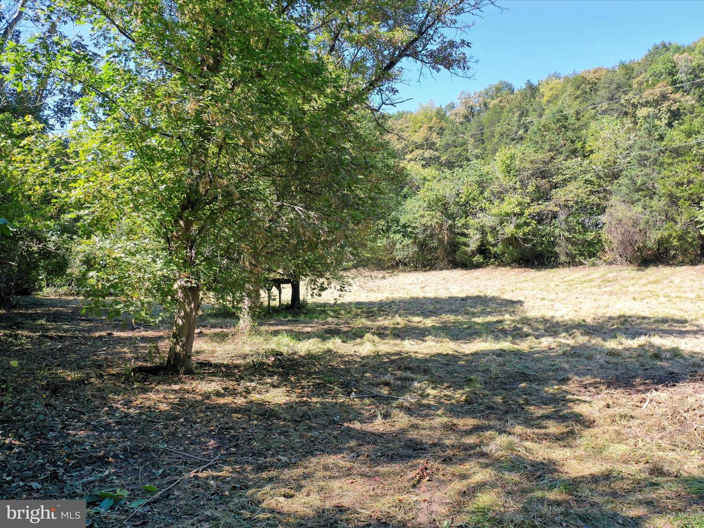 TBD FUNK RD, STRASBURG, Virginia 22657, ,Land,For sale,TBD FUNK RD,VASH2012632 MLS # VASH2012632