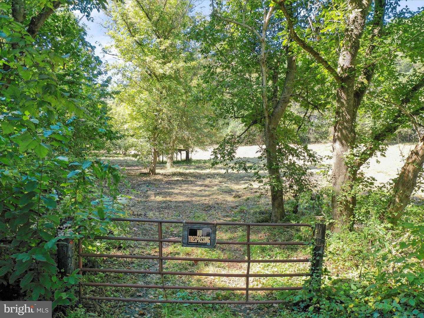 TBD FUNK RD, STRASBURG, Virginia 22657, ,Land,For sale,TBD FUNK RD,VASH2012632 MLS # VASH2012632