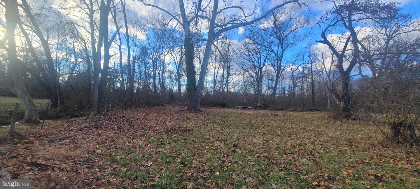 9654 JAMES MADISON HWY, WARRENTON, Virginia 20186, ,Land,For sale,9654 JAMES MADISON HWY,VAFQ2018474 MLS # VAFQ2018474