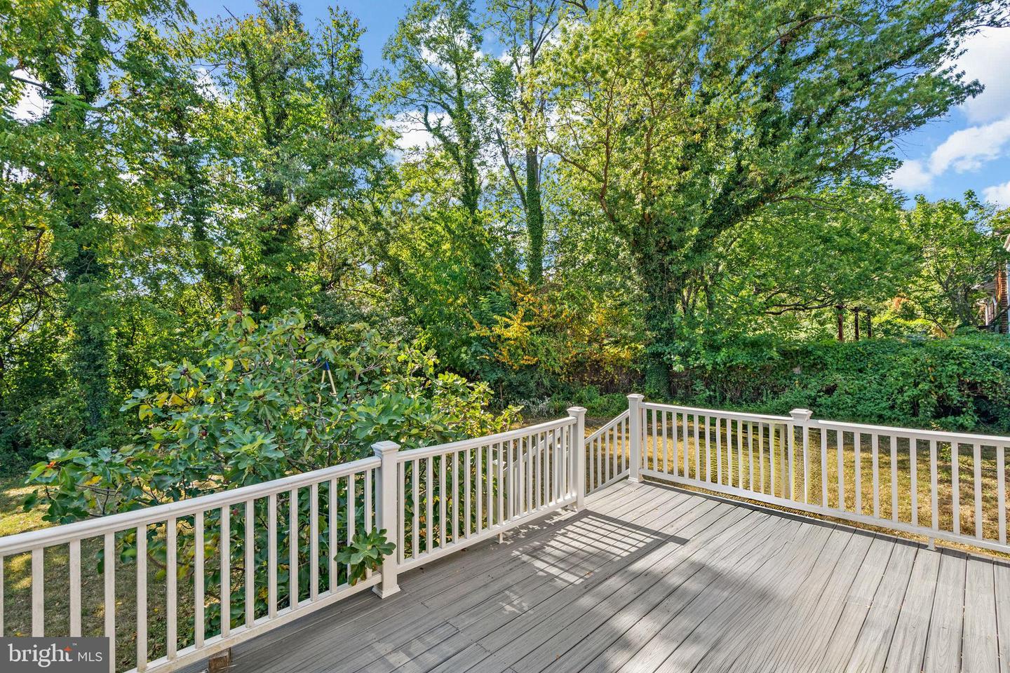 2306 BARBOUR RD, FALLS CHURCH, Virginia 22043, 4 Bedrooms Bedrooms, ,2 BathroomsBathrooms,Residential,For sale,2306 BARBOUR RD,VAFX2263188 MLS # VAFX2263188