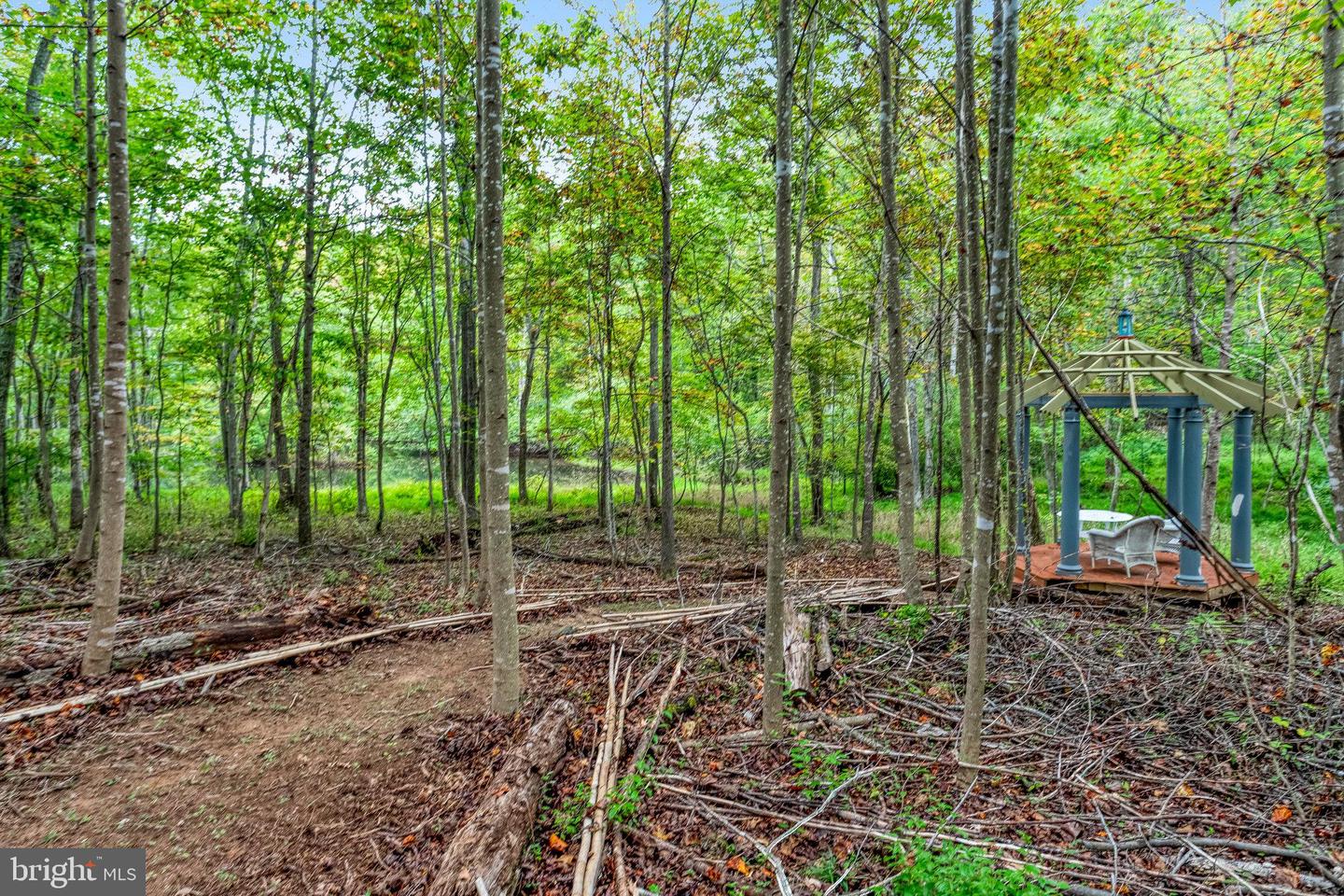 5536 KEYSER RD, HUME, Virginia 22639, 4 Bedrooms Bedrooms, 15 Rooms Rooms,3 BathroomsBathrooms,Residential,For sale,5536 KEYSER RD,VAFQ2018126 MLS # VAFQ2018126