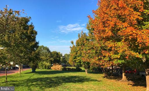 123 U ST NW, WASHINGTON, District Of Columbia 20001, 5 Bedrooms Bedrooms, ,3 BathroomsBathrooms,Residential,For sale,123 U ST NW,DCDC2221244 MLS # DCDC2221244