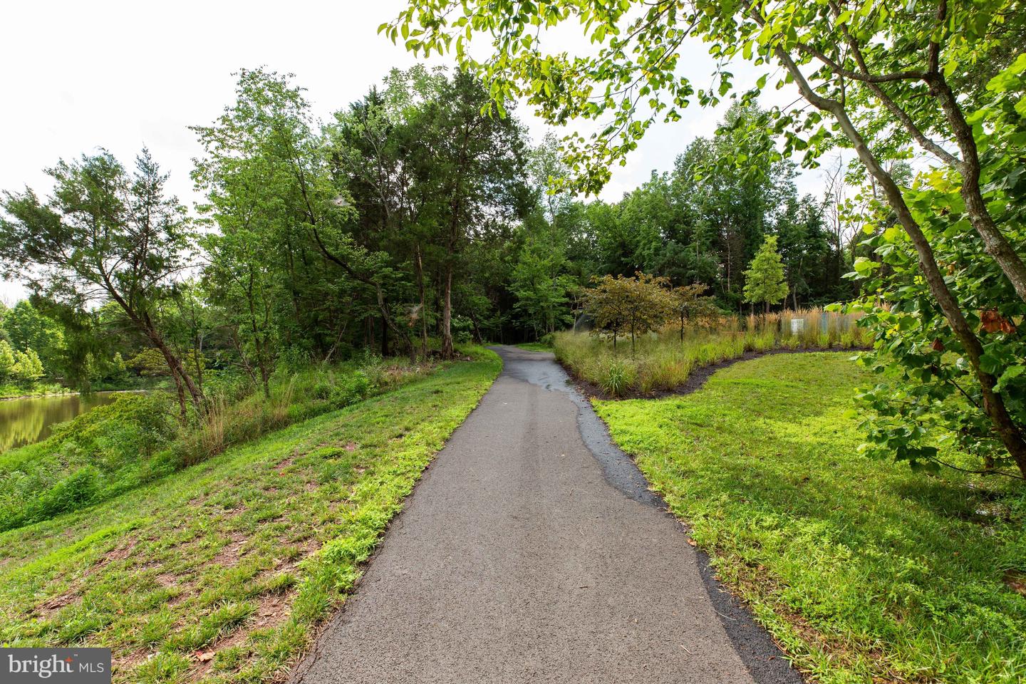 4810 GARDEN VIEW LN, CHANTILLY, Virginia 20151, 3 Bedrooms Bedrooms, ,3 BathroomsBathrooms,Residential,For sale,4810 GARDEN VIEW LN,VAFX2265872 MLS # VAFX2265872