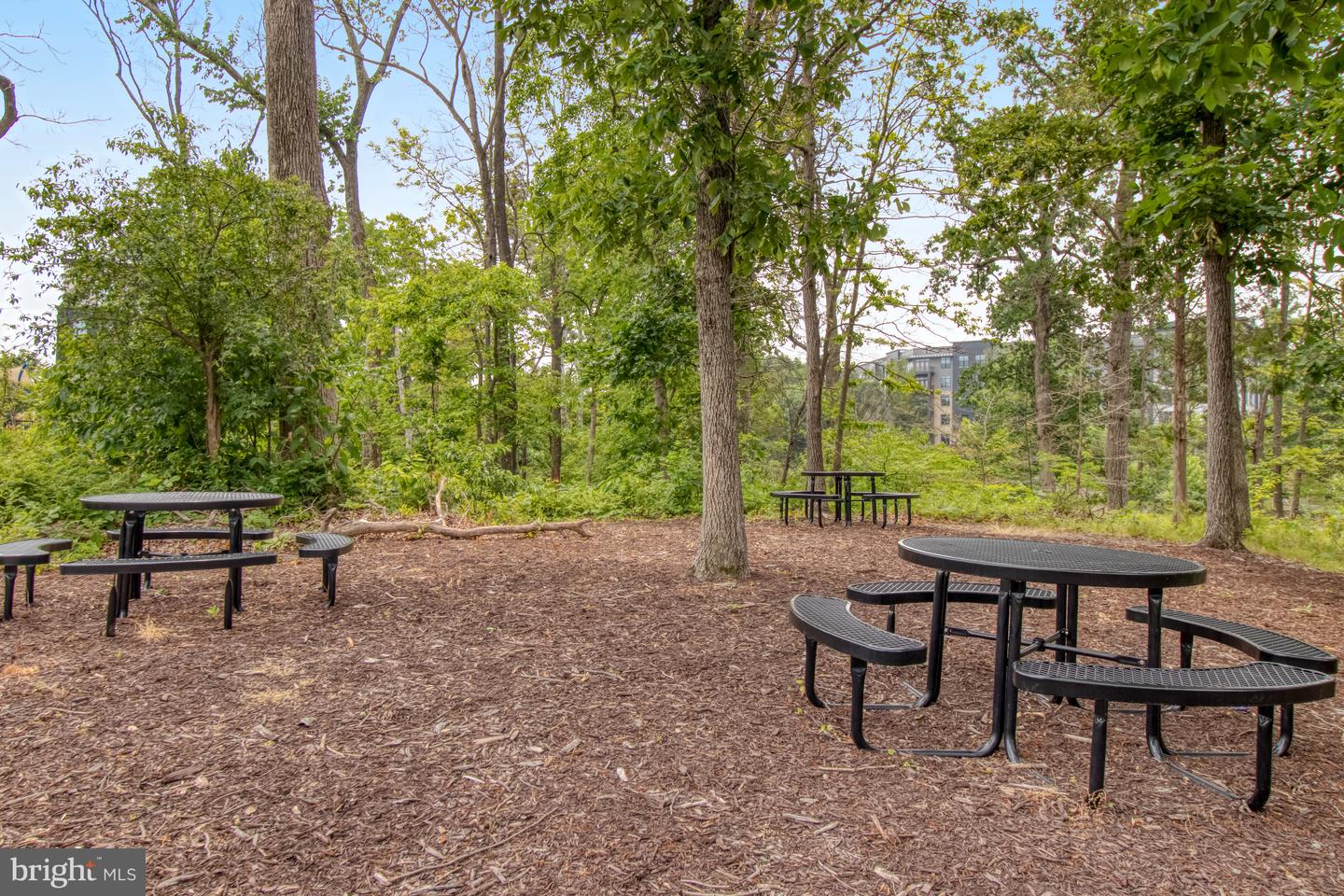 4810 GARDEN VIEW LN, CHANTILLY, Virginia 20151, 3 Bedrooms Bedrooms, ,3 BathroomsBathrooms,Residential,For sale,4810 GARDEN VIEW LN,VAFX2265872 MLS # VAFX2265872