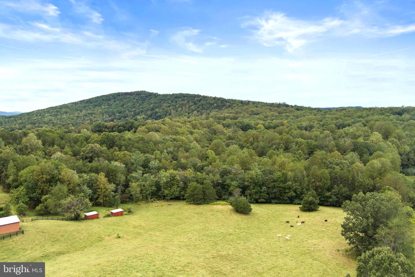 509 CASTLETON FORD RD, CASTLETON, Virginia 22716, 4 Bedrooms Bedrooms, ,4 BathroomsBathrooms,Residential,For sale,509 CASTLETON FORD RD,VARP2002252 MLS # VARP2002252