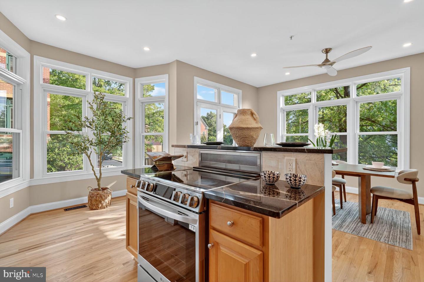 3301 WASHINGTON BLVD, ARLINGTON, Virginia 22201, 4 Bedrooms Bedrooms, ,3 BathroomsBathrooms,Residential,For sale,3301 WASHINGTON BLVD,VAAR2063482 MLS # VAAR2063482