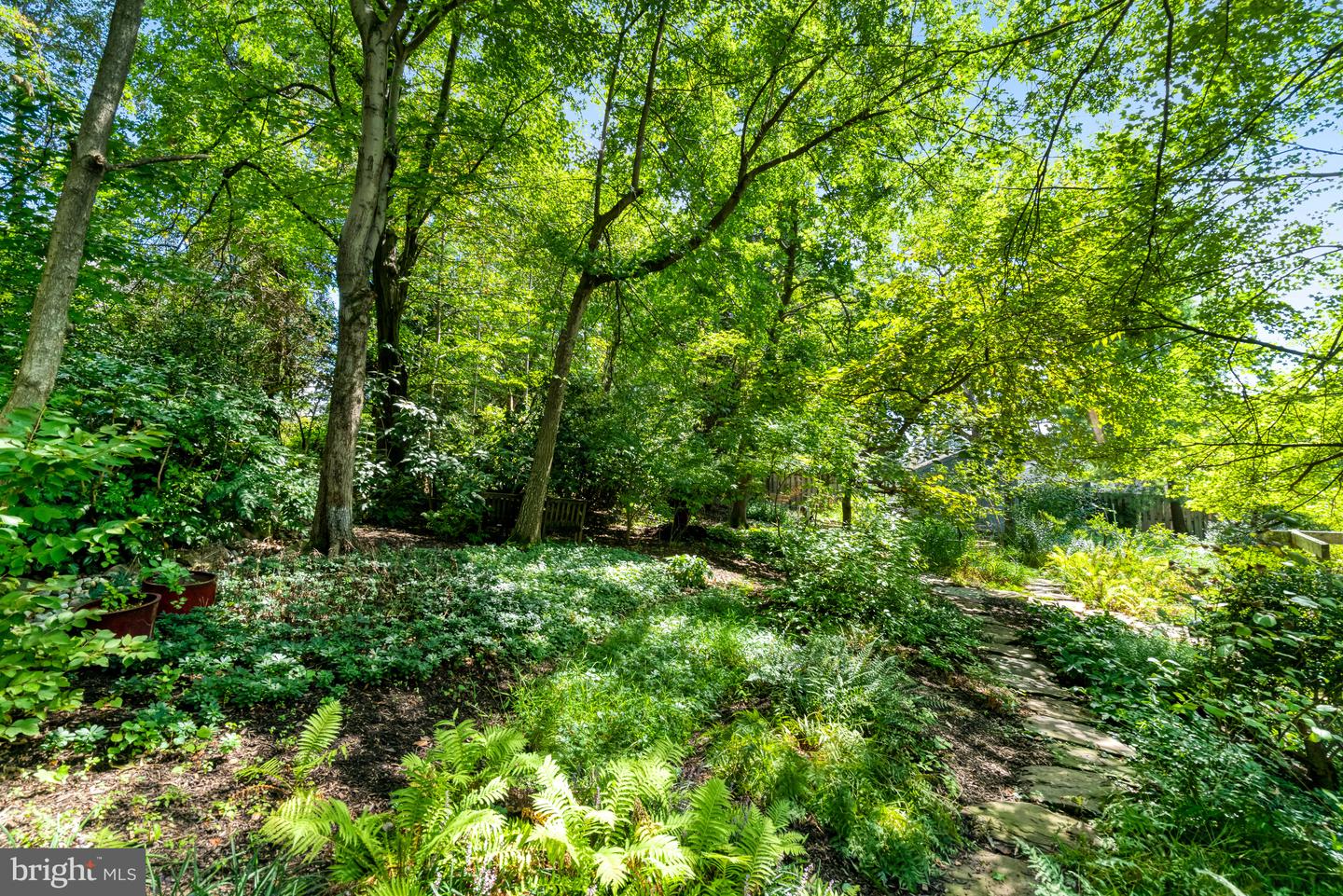 7107 ROXANN RD, ALEXANDRIA, Virginia 22315, 4 Bedrooms Bedrooms, ,4 BathroomsBathrooms,Residential,For sale,7107 ROXANN RD,VAFX2267336 MLS # VAFX2267336