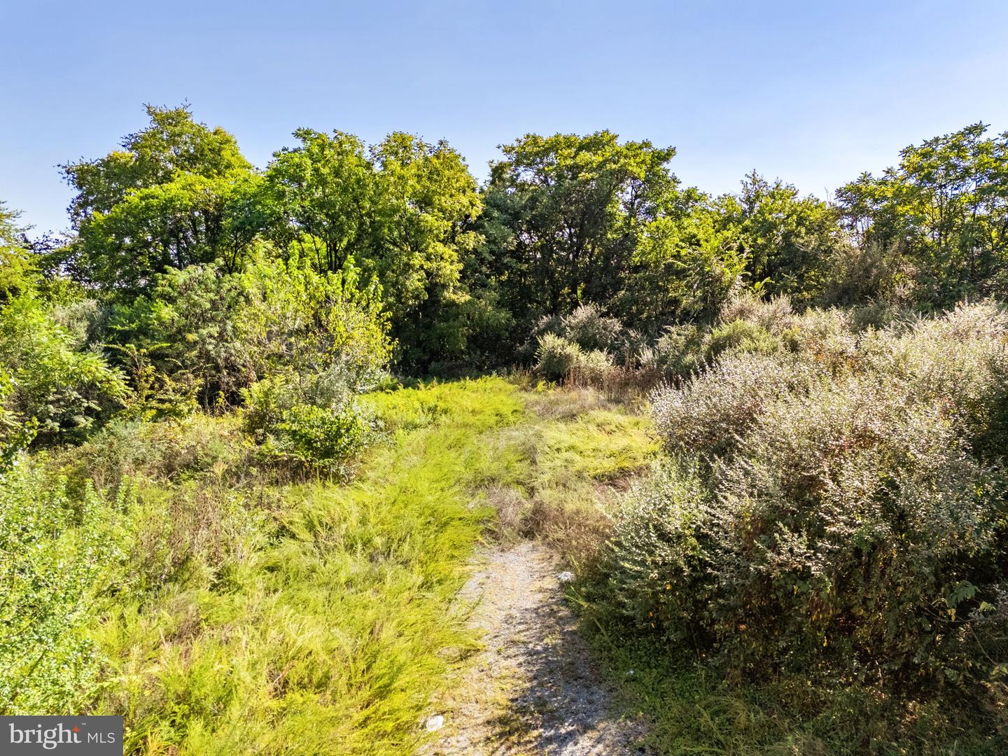 1625 AMHERST ST, WINCHESTER, Virginia 22601, ,Land,For sale,1625 AMHERST ST,VAWI2009134 MLS # VAWI2009134