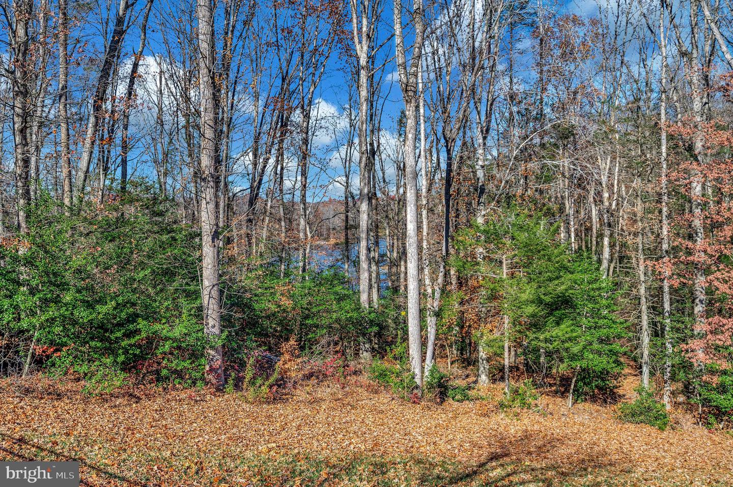 20 GENEVIEVE CT, FREDERICKSBURG, Virginia 22406, 5 Bedrooms Bedrooms, ,5 BathroomsBathrooms,Residential,For sale,20 GENEVIEVE CT,VAST2042780 MLS # VAST2042780