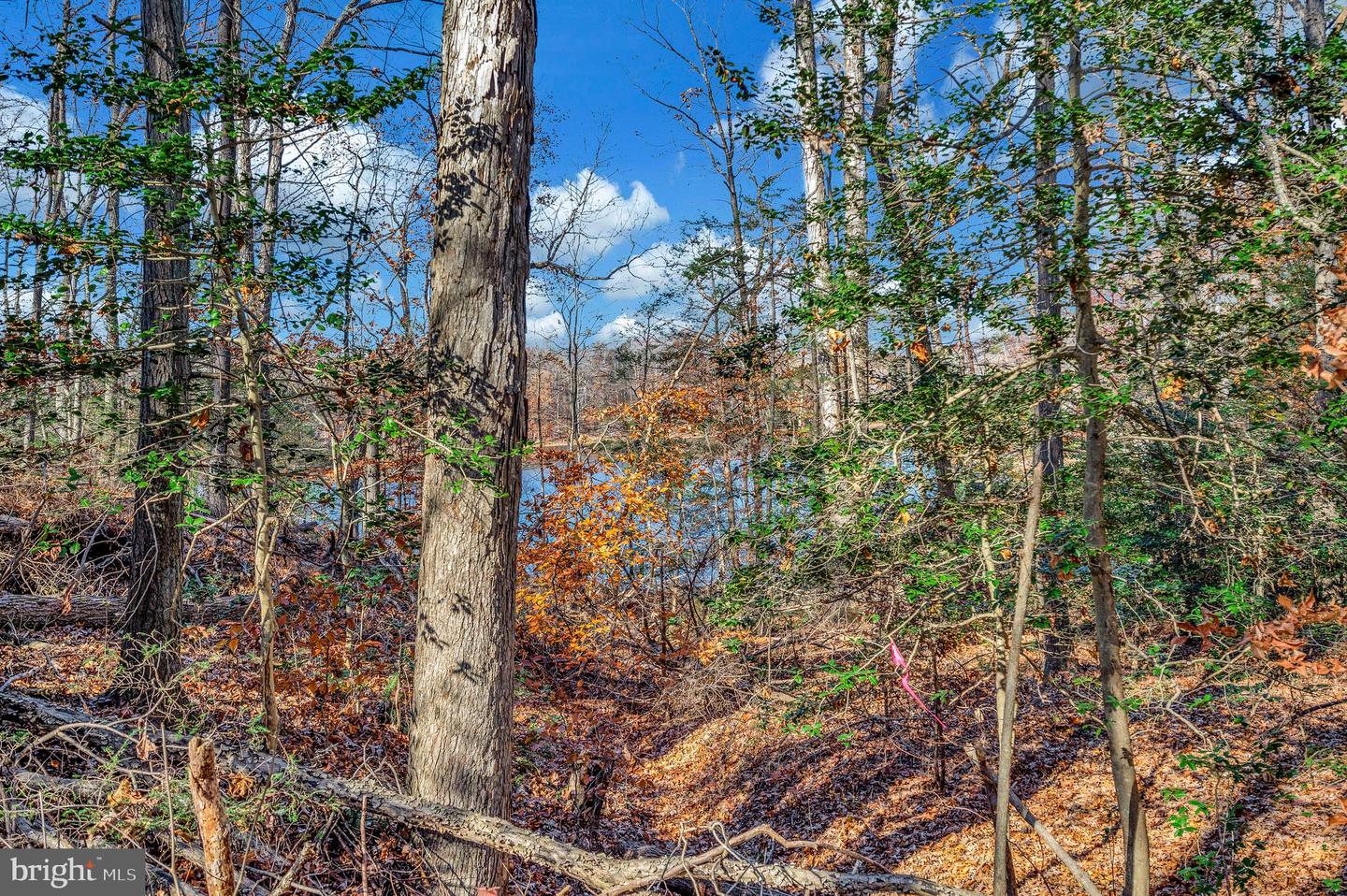 20 GENEVIEVE CT, FREDERICKSBURG, Virginia 22406, 5 Bedrooms Bedrooms, ,5 BathroomsBathrooms,Residential,For sale,20 GENEVIEVE CT,VAST2042780 MLS # VAST2042780