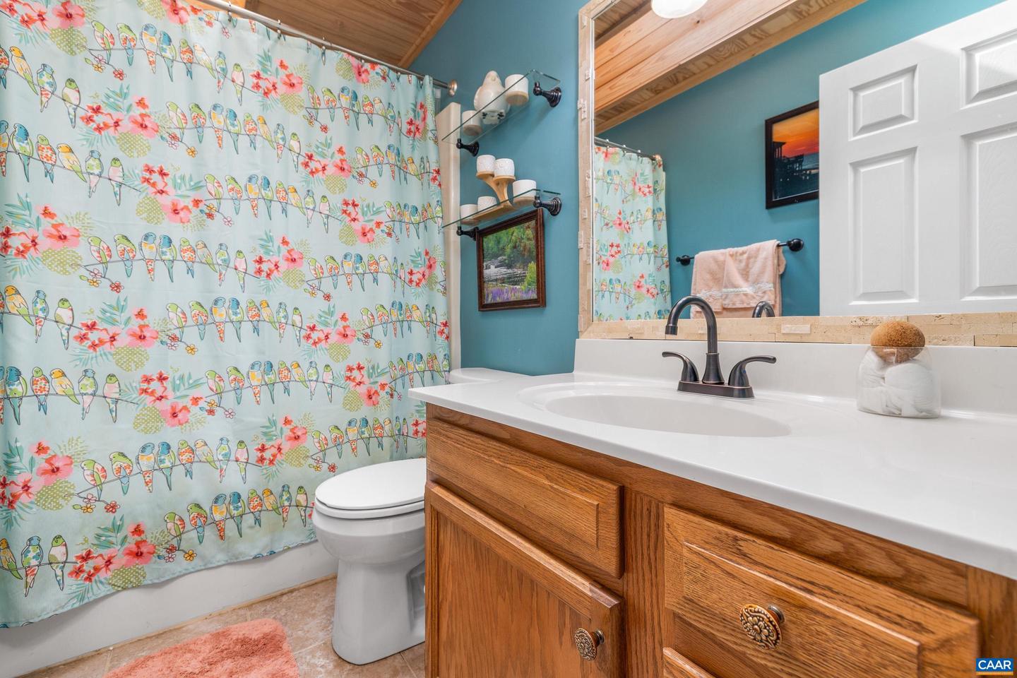 4 XEBEC RD, PALMYRA, Virginia 22963, 4 Bedrooms Bedrooms, ,2 BathroomsBathrooms,Residential,For sale,4 XEBEC RD,669267 MLS # 669267