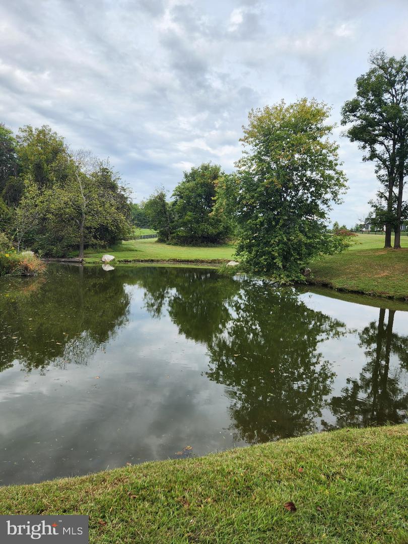 SHOEMAKER SCHOOL RD, PURCELLVILLE, Virginia 20132, ,Land,For sale,SHOEMAKER SCHOOL RD,VALO2107566 MLS # VALO2107566