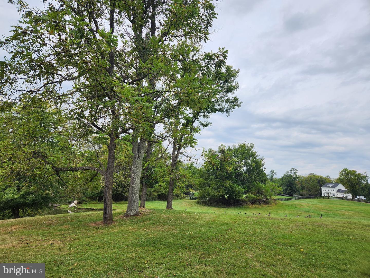 SHOEMAKER SCHOOL RD, PURCELLVILLE, Virginia 20132, ,Land,For sale,SHOEMAKER SCHOOL RD,VALO2107566 MLS # VALO2107566