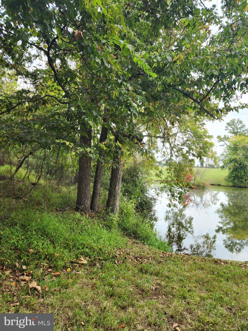 SHOEMAKER SCHOOL RD, PURCELLVILLE, Virginia 20132, ,Land,For sale,SHOEMAKER SCHOOL RD,VALO2107566 MLS # VALO2107566