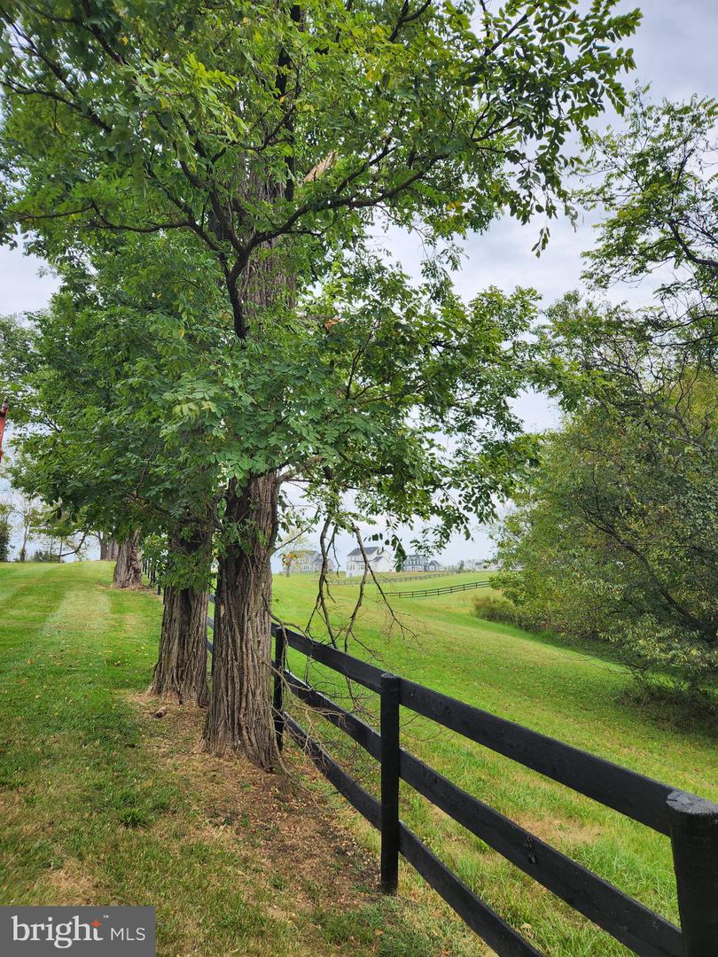 SHOEMAKER SCHOOL RD, PURCELLVILLE, Virginia 20132, ,Land,For sale,SHOEMAKER SCHOOL RD,VALO2107566 MLS # VALO2107566