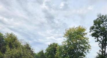 SHOEMAKER SCHOOL RD, PURCELLVILLE, Virginia 20132, ,Land,For sale,SHOEMAKER SCHOOL RD,VALO2107566 MLS # VALO2107566