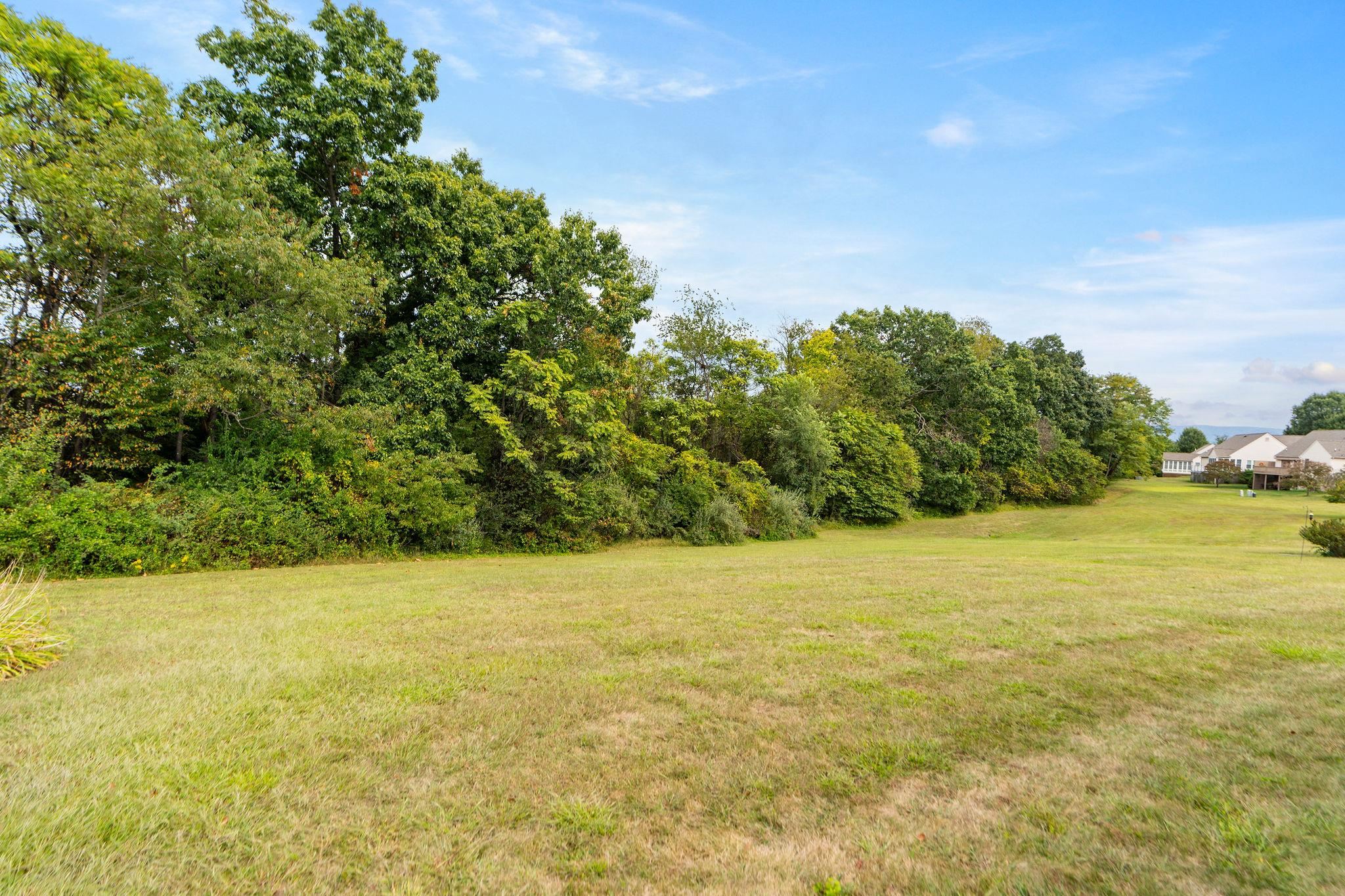 725 GOVERNORS WAY, WAYNESBORO, Virginia 22980, 2 Bedrooms Bedrooms, ,2 BathroomsBathrooms,Residential,725 GOVERNORS WAY,669424 MLS # 669424