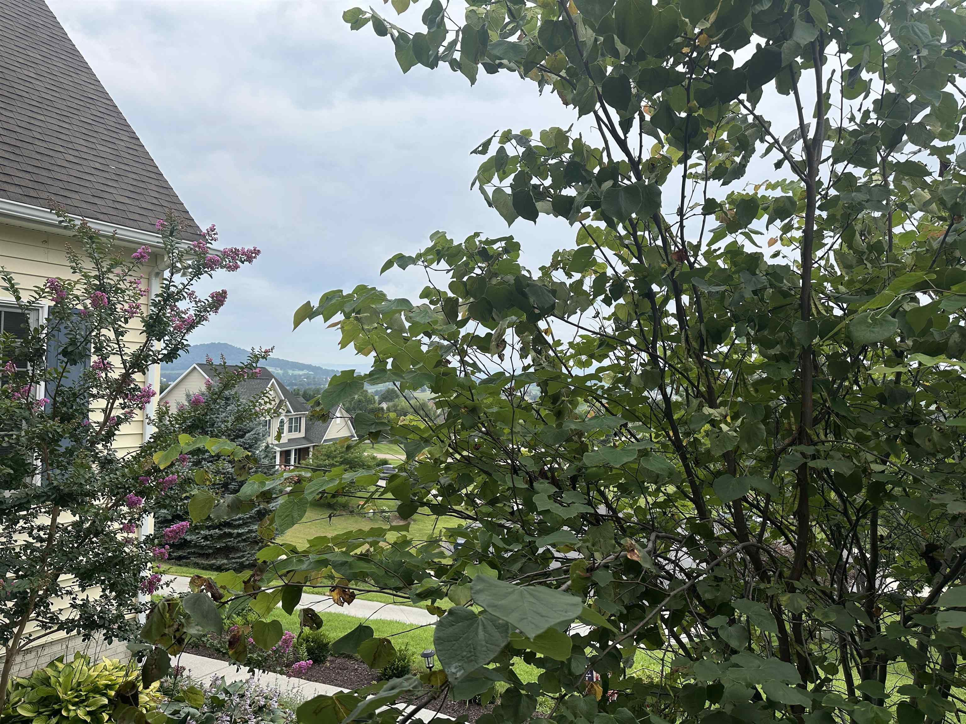 2605 RISING ROCK CT, ROCKINGHAM, Virginia 22802, 5 Bedrooms Bedrooms, ,2 BathroomsBathrooms,Residential,2605 RISING ROCK CT,669433 MLS # 669433