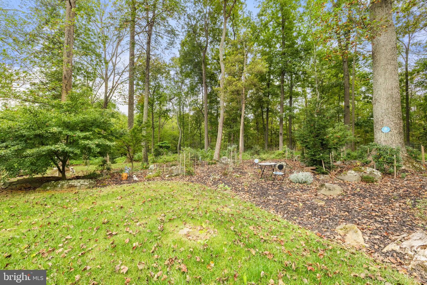 22011 BEAVERDAM DR, ASHBURN, Virginia 20148, 5 Bedrooms Bedrooms, ,5 BathroomsBathrooms,Residential,For sale,22011 BEAVERDAM DR,VALO2107164 MLS # VALO2107164