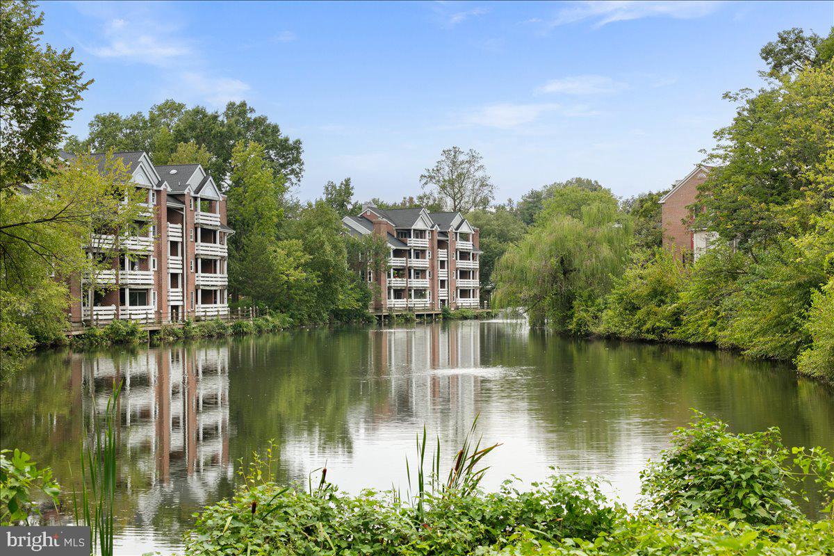 3150-L COVEWOOD CT #L, FALLS CHURCH, Virginia 22042, 1 Bedroom Bedrooms, ,1 BathroomBathrooms,Residential,For sale,3150-L COVEWOOD CT #L,VAFX2268590 MLS # VAFX2268590