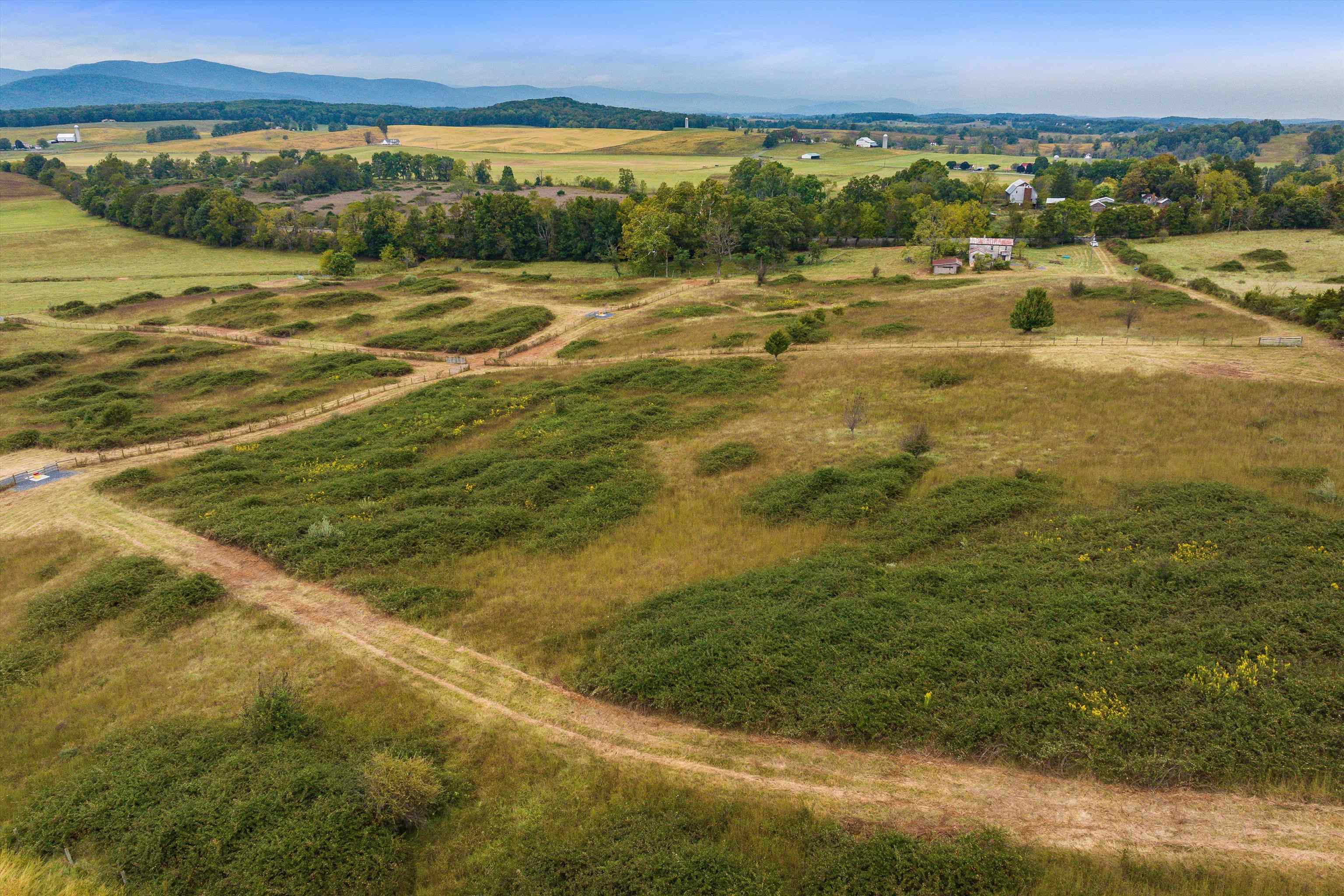 594 HEWITT RD, SWOOPE, Virginia 24479, ,Land,594 HEWITT RD,669442 MLS # 669442