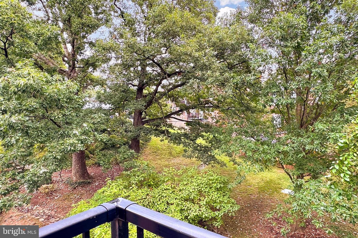 4860 28TH ST S #B1, ARLINGTON, Virginia 22206, 1 Bedroom Bedrooms, 5 Rooms Rooms,1 BathroomBathrooms,Residential,For sale,4860 28TH ST S #B1,VAAR2064184 MLS # VAAR2064184