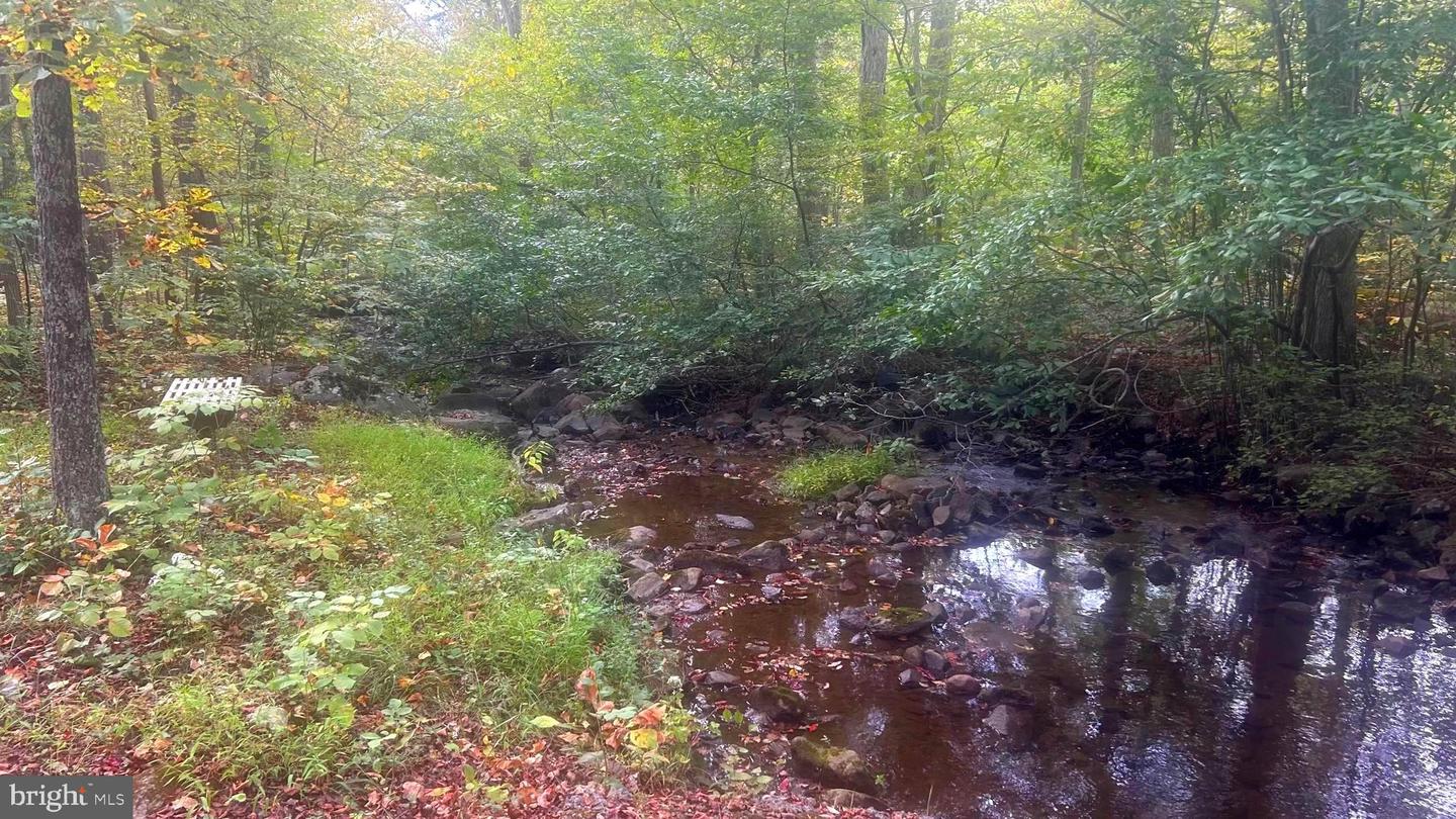 CLIFF LANE, BLUEMONT, Virginia 20135, ,Land,For sale,CLIFF LANE,VACL2006068 MLS # VACL2006068