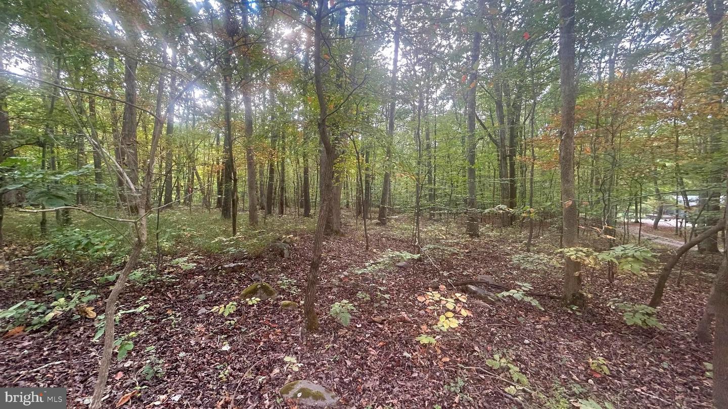 CLIFF LANE, BLUEMONT, Virginia 20135, ,Land,For sale,CLIFF LANE,VACL2006068 MLS # VACL2006068