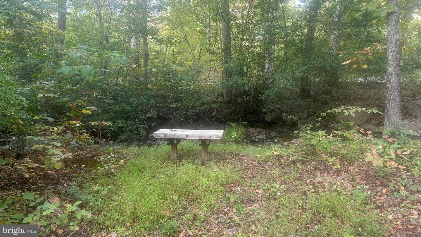 CLIFF LANE, BLUEMONT, Virginia 20135, ,Land,For sale,CLIFF LANE,VACL2006068 MLS # VACL2006068
