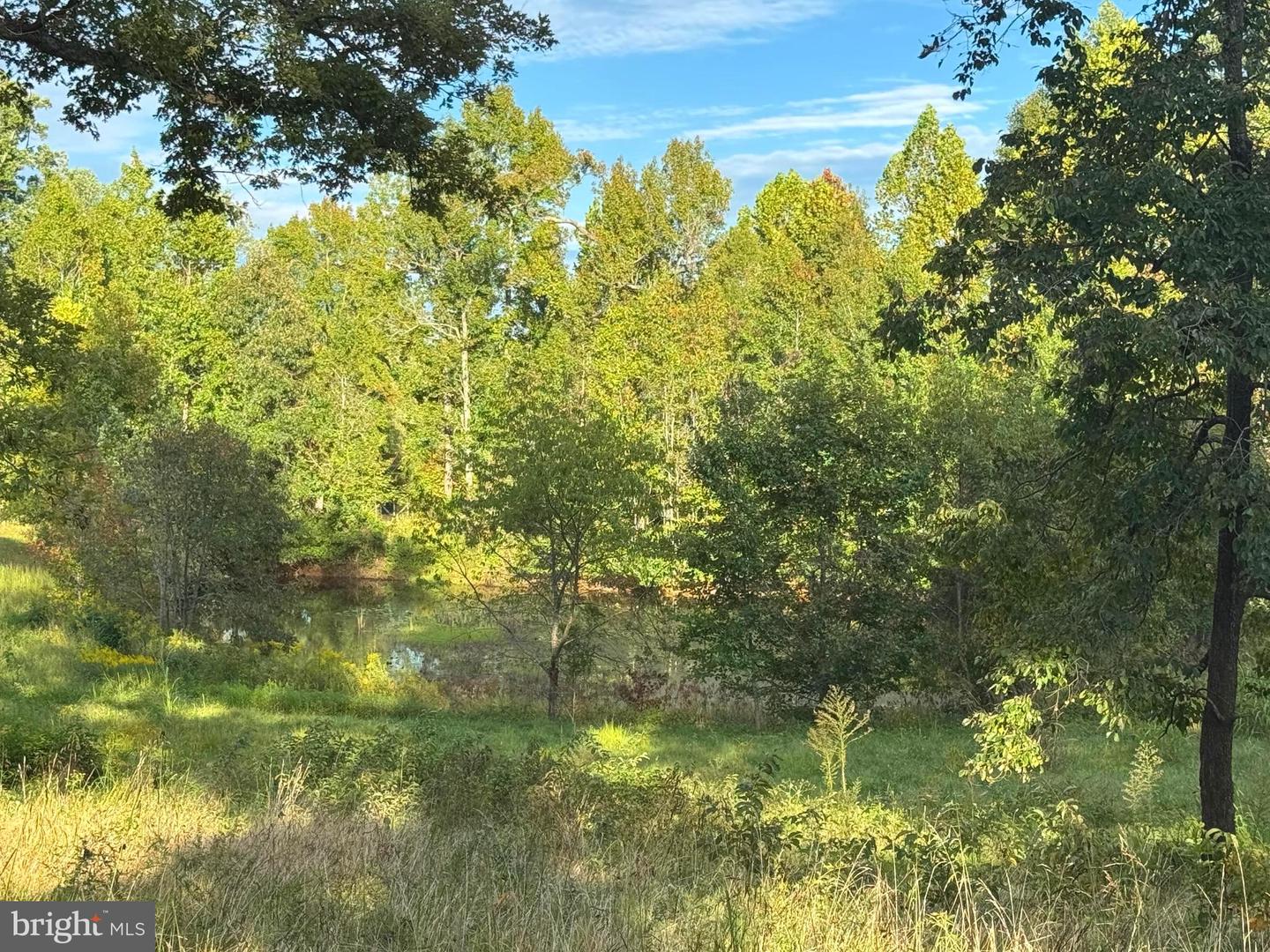 164 GARRETTS MILL RD, BUMPASS, Virginia 23024, ,Land,For sale,164 GARRETTS MILL RD,VALA2008650 MLS # VALA2008650