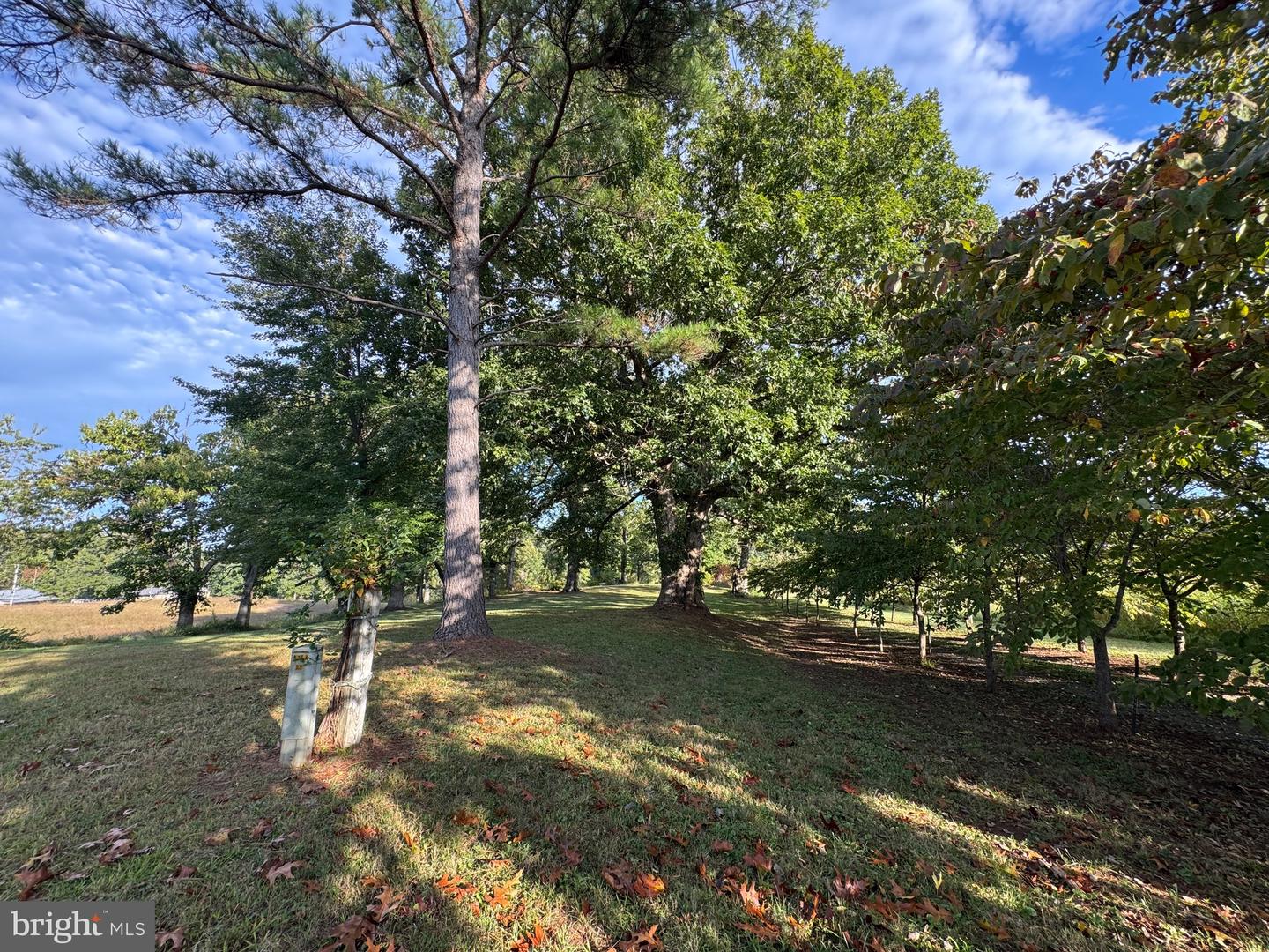 164 GARRETTS MILL RD, BUMPASS, Virginia 23024, ,Land,For sale,164 GARRETTS MILL RD,VALA2008650 MLS # VALA2008650