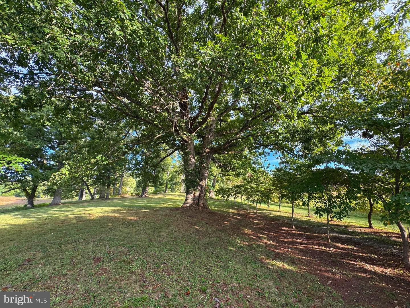 164 GARRETTS MILL RD, BUMPASS, Virginia 23024, ,Land,For sale,164 GARRETTS MILL RD,VALA2008650 MLS # VALA2008650