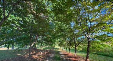 164 GARRETTS MILL RD, MINERAL, Virginia 23117, ,Land,For sale,164 GARRETTS MILL RD,VALA2008650 MLS # VALA2008650