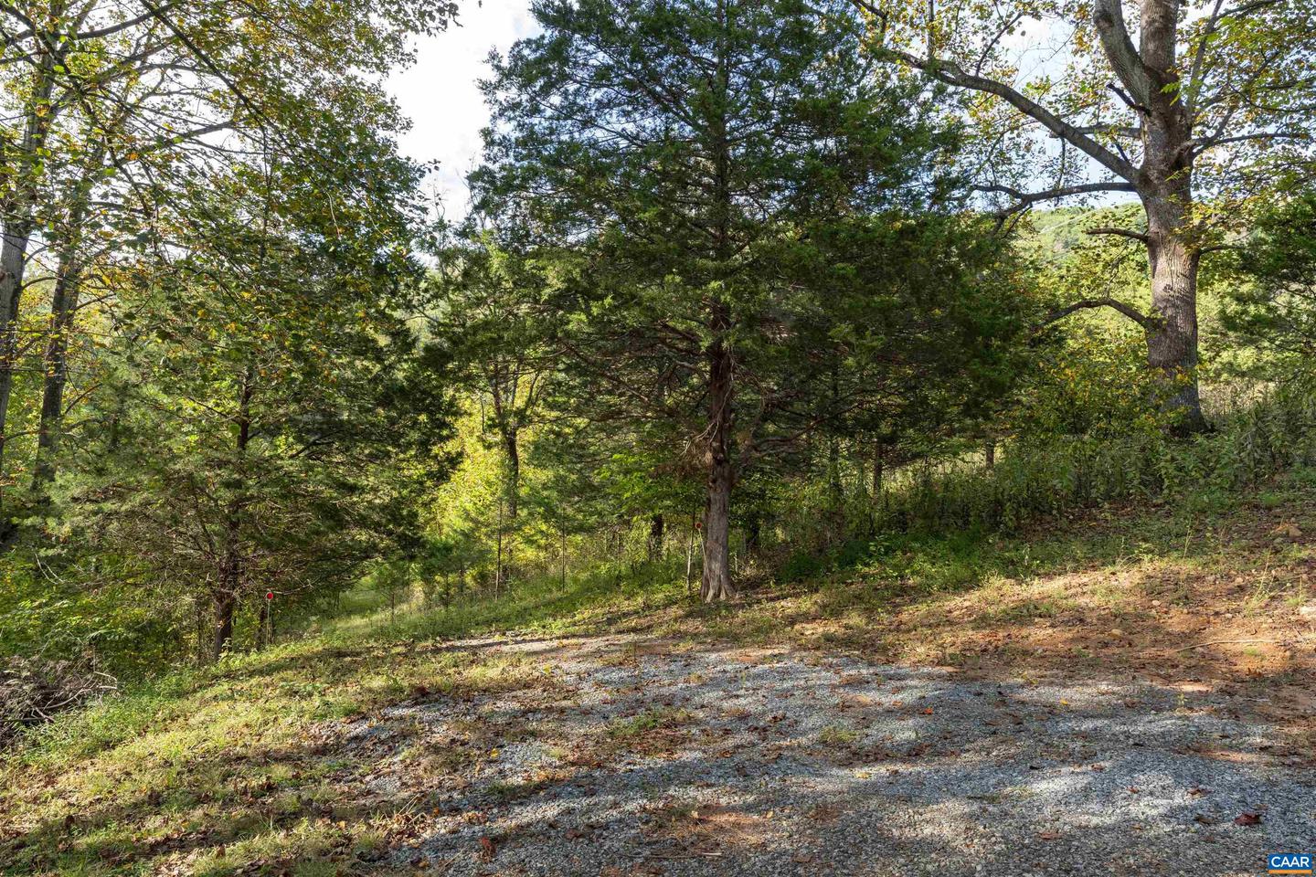 TBD CHERRY GROVE LN, AFTON, Virginia 22920, ,Land,For sale,TBD CHERRY GROVE LN,669450 MLS # 669450