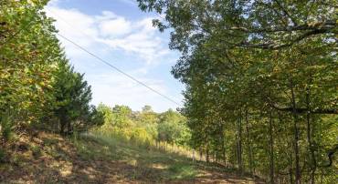 TBD CHERRY GROVE LN, AFTON, Virginia 22920, ,Land,For sale,TBD CHERRY GROVE LN,669450 MLS # 669450