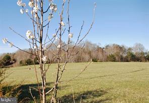 CORNER OF 651 AND 632 SUMERDUCK RD AND ROGERS FORD, SUMERDUCK, Virginia 22742, ,Land,For sale,CORNER OF 651 AND 632 SUMERDUCK RD AND ROGERS FORD,VAFQ2018506 MLS # VAFQ2018506