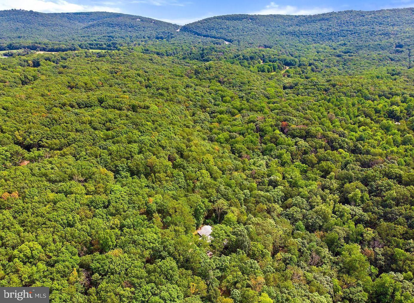 884 OLD FERRY LN, BLUEMONT, Virginia 20135, 5 Bedrooms Bedrooms, ,4 BathroomsBathrooms,Residential,For sale,884 OLD FERRY LN,VACL2005998 MLS # VACL2005998