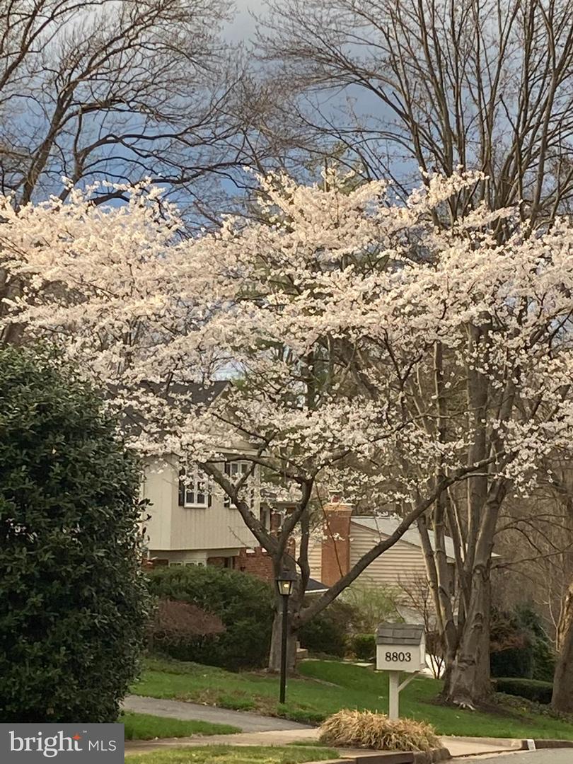 FAIRFAX, Virginia 22031, 4 Bedrooms Bedrooms, ,2 BathroomsBathrooms,Residential,For sale,VAFX2263444 MLS # VAFX2263444