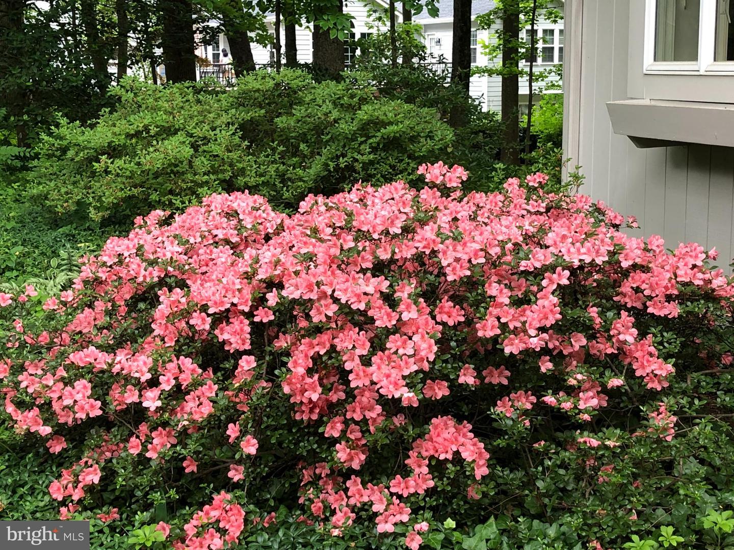 FAIRFAX, Virginia 22031, 4 Bedrooms Bedrooms, ,2 BathroomsBathrooms,Residential,For sale,VAFX2263444 MLS # VAFX2263444