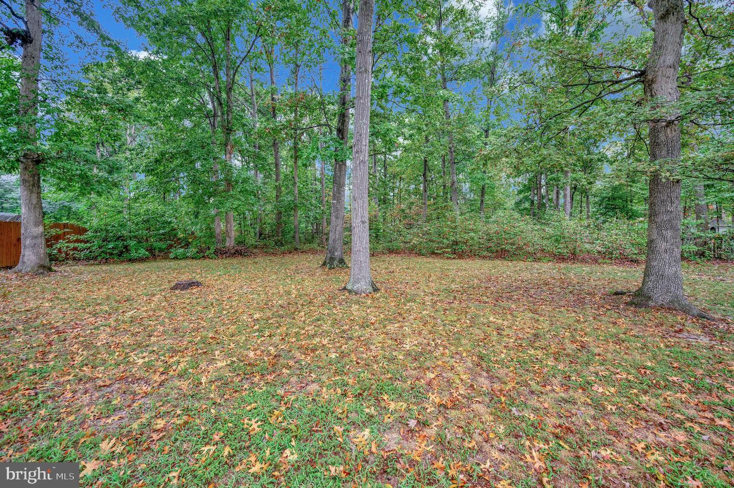 5221 MCMANUS DR, FREDERICKSBURG, Virginia 22407, 4 Bedrooms Bedrooms, ,2 BathroomsBathrooms,Residential,For sale,5221 MCMANUS DR,VASP2035902 MLS # VASP2035902
