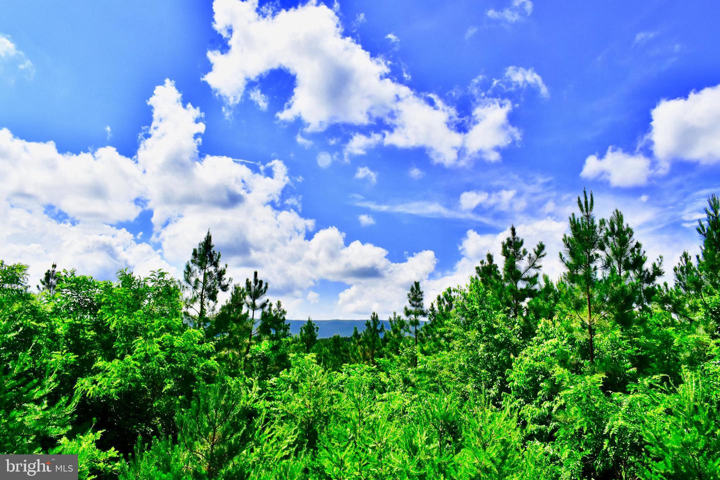 439 ACRES LAUREL GROVE RD., WINCHESTER, Virginia 22602, ,Farm,For sale,439 ACRES LAUREL GROVE RD.,VAFV2024650 MLS # VAFV2024650